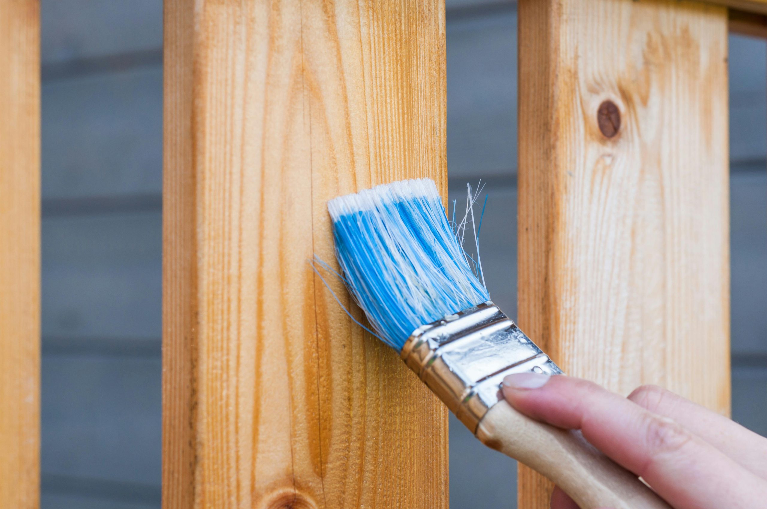 Paintbrush staining wood fence