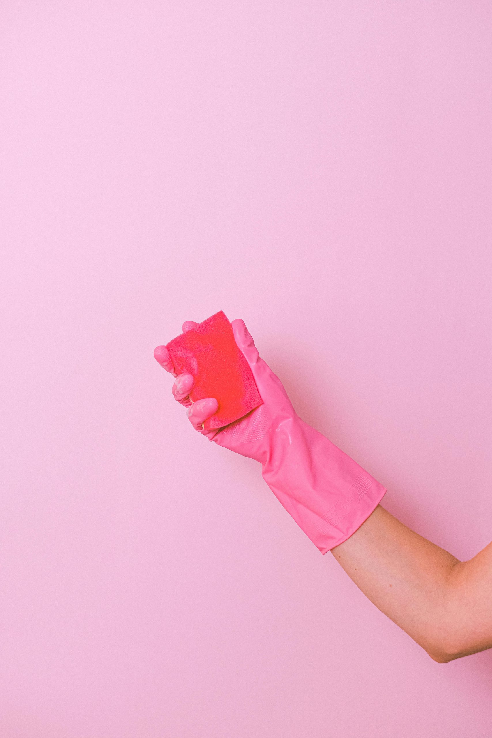 gloved wearer holding a cleaning sponge