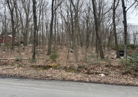 CHESNUT HILL, Wolcott, 06716, ,Lots And Land For Sale,For Sale,CHESNUT HILL,24006594