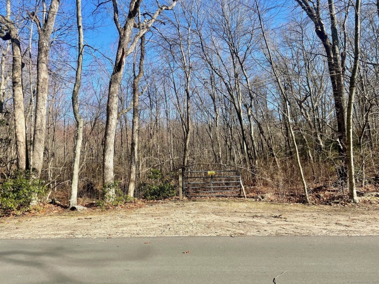 Fairy Dell, Clinton, 06413, 0 , 0 ,0,Lots And Land For Sale,For Sale,Fairy Dell,0,24002702
