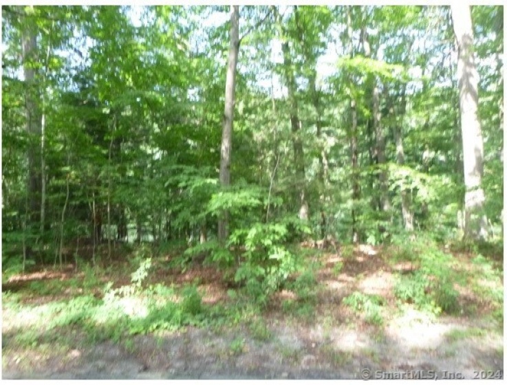 3 Rowledge Pond, Monroe, 06482, ,Lots And Land For Sale,For Sale,Rowledge Pond,24005191