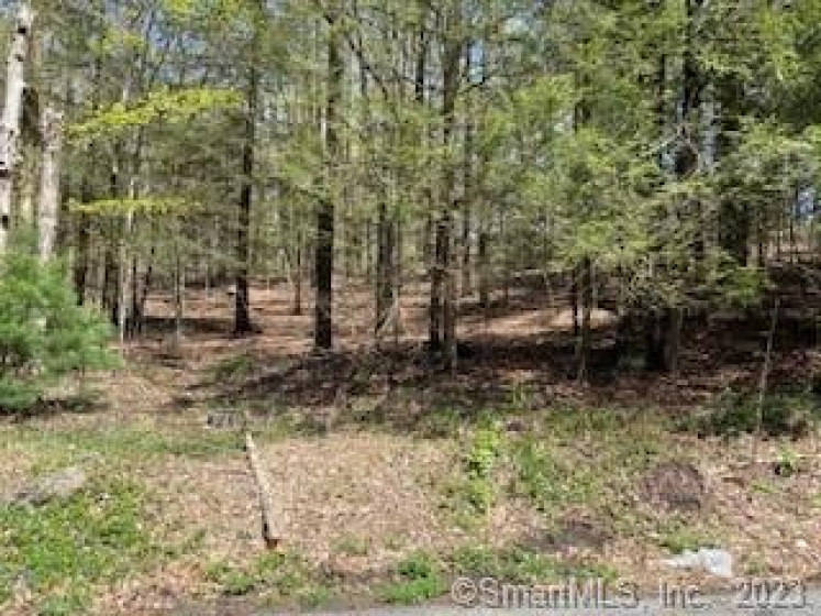 0 Old Colony, Norfolk, 06058, 0 , 0 ,0,Lots And Land For Sale,For Sale,Old Colony,0,170567242