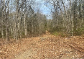 00 Old Mill, Wilton, 06897, 0 , 0 ,0,Lots And Land For Sale,For Sale,Old Mill,0,170563180