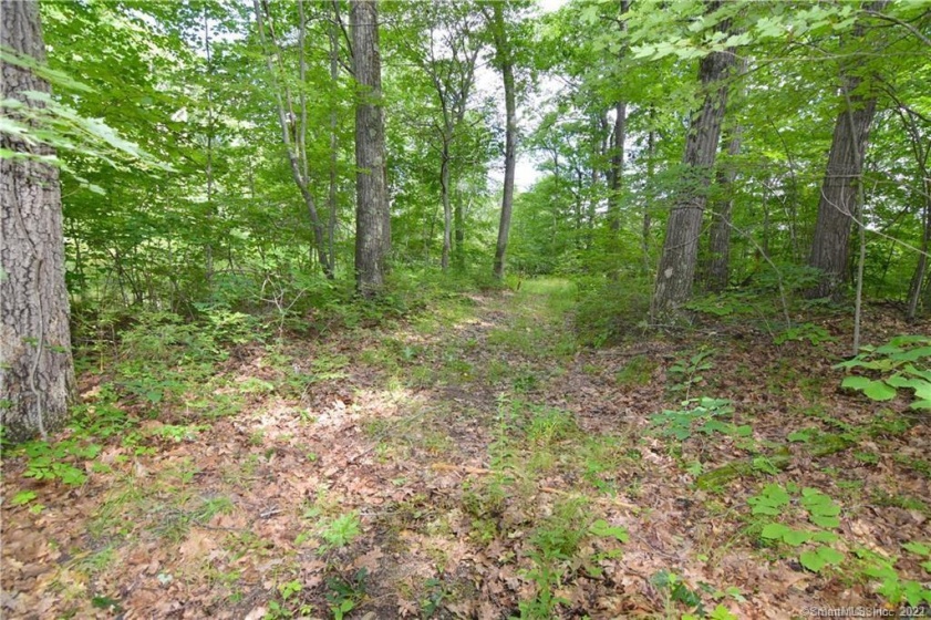 0 Montoe, Waterbury, 06701, 0 , 0 ,0,Lots And Land For Sale,For Sale,Montoe,0,170399588