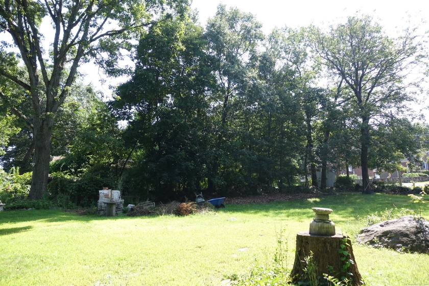 Miller, Waterbury, 06701, 0 , 0 ,0,Lots And Land For Sale,For Sale,Miller,0,24042290
