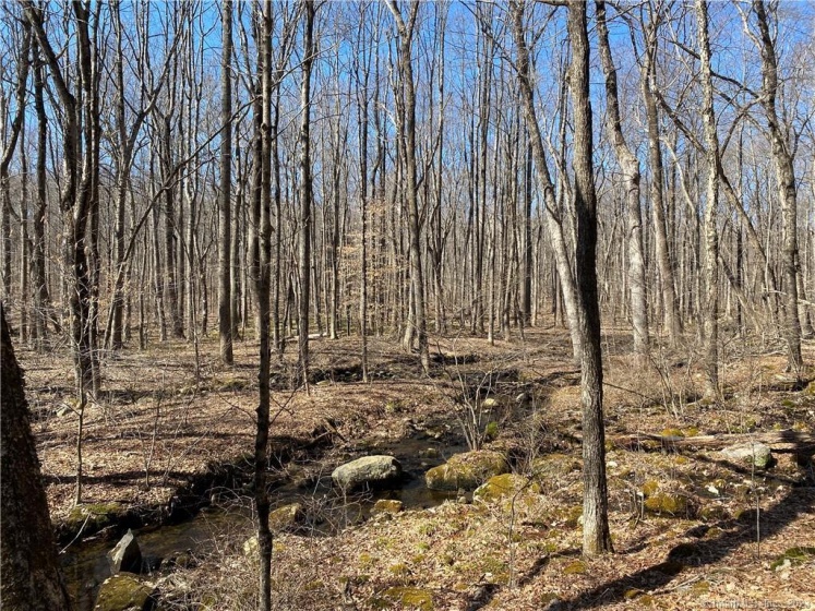 0 Andrew Mountain, Naugatuck, 06770, 0 , 0 ,0,Lots And Land For Sale,For Sale,Andrew Mountain,0,170603648