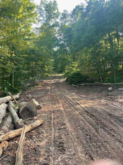 20 Old Birch, Stafford, 06076, 0 , 0 ,0,Lots And Land For Sale,For Sale,Old Birch,0,24079728