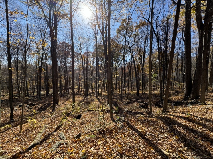 00 Upper Kent Hollow, Kent, 06757, 0 , 0 ,0,Lots And Land For Sale,For Sale,Upper Kent Hollow,0,24063109
