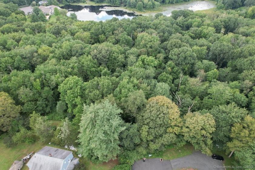 Lot 167 Shelton, Wolcott, 06716, 0 , 0 ,0,Lots And Land For Sale,For Sale,Shelton,0,24105388