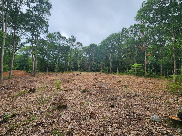 262 Route 81, Killingworth, 06419, 0 , 0 ,0,Lots And Land For Sale,For Sale,Route 81,0,24112129