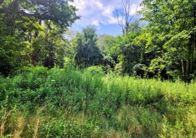 994 Main, Somers, 06071, 0 , 0 ,0,Lots And Land For Sale,For Sale,Main,0,24113548 994 Main, Somers, 06071, 0 , 0 ,0,Lots And Land For Sale,For Sale,Main,0,24113548