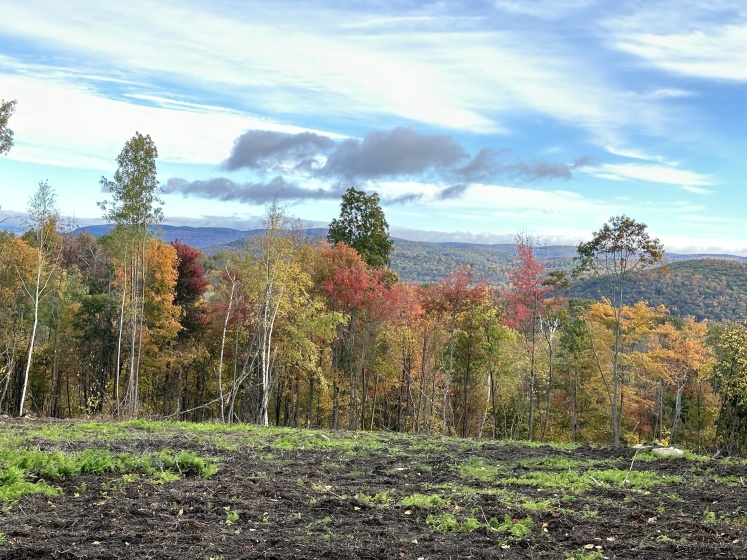 Swaller Hill, Sharon, 06069, 0 , 0 ,0,Lots And Land For Sale,For Sale,Swaller Hill,0,24117863