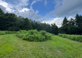 135 Noble Hill, Montville, 06370, 0 , 0 ,0,Lots And Land For Sale,For Sale,Noble Hill,0,24120238 135 Noble Hill, Montville, 06370, 0 , 0 ,0,Lots And Land For Sale,For Sale,Noble Hill,0,24120238