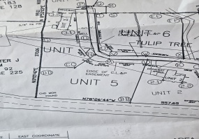 6 Tulip Tree, Bethlehem, 06751, 0 , 0 ,0,Lots And Land For Sale,For Sale,Tulip Tree,0,24131632