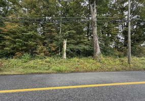 208 South, New Hartford, 06057, 0 , 0 ,0,Lots And Land For Sale,For Sale,South,0,24125571