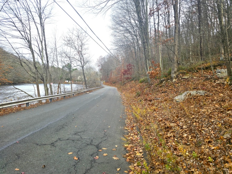 123-133 Todd Hollow, Plymouth, 06782, 0 , 0 ,0,Lots And Land For Sale,For Sale,Todd Hollow,0,24139642