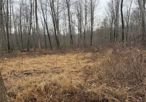 312 Merrow, Tolland, 06084, 0 , 0 ,0,Lots And Land For Sale,For Sale,Merrow,0,24142381