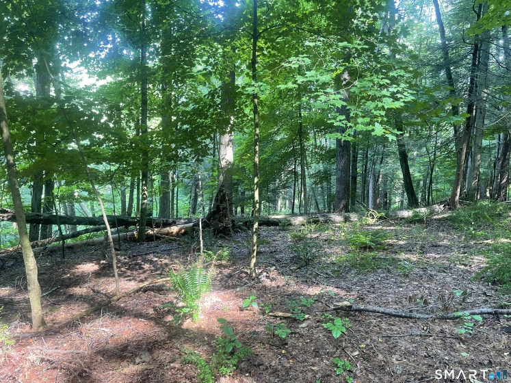 Railroad, Cornwall, 06753, 0 , 0 ,0,Lots And Land For Sale,For Sale,Railroad,0,24145773