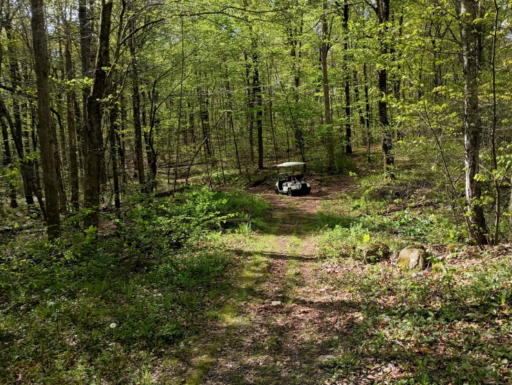 Litchfield, Watertown, 06795, 0 , 0 ,0,Lots And Land For Sale,For Sale,Litchfield,0,24148536