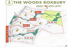 204 North, Roxbury, 06783, 0 , 0 ,0,Lots And Land For Sale,For Sale,North,0,24139288