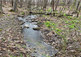 Westwoods, Sharon, 06069, 0 , 0 ,0,Lots And Land For Sale,For Sale,Westwoods,0,24149597