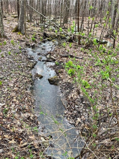 Westwoods, Sharon, 06069, 0 , 0 ,0,Lots And Land For Sale,For Sale,Westwoods,0,24149597