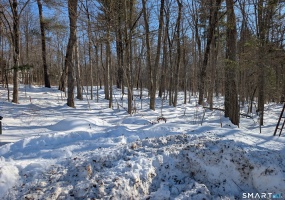 646 Torringford, Torrington, 06790, 0 , 0 ,0,Lots And Land For Sale,For Sale,Torringford,0,24152725