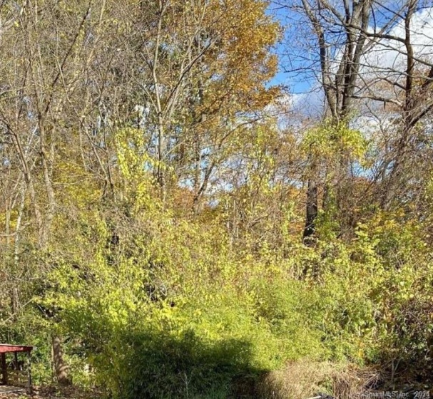 00 Ramsgate, Barkhamsted, 06063, 0 , 0 ,0,Lots And Land For Sale,For Sale,Ramsgate,0,24155782