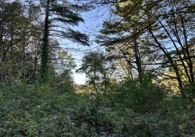 5 Prospect Mountain, Salisbury, 06068, 0 , 0 ,0,Lots And Land For Sale,For Sale,Prospect Mountain,0,24131329