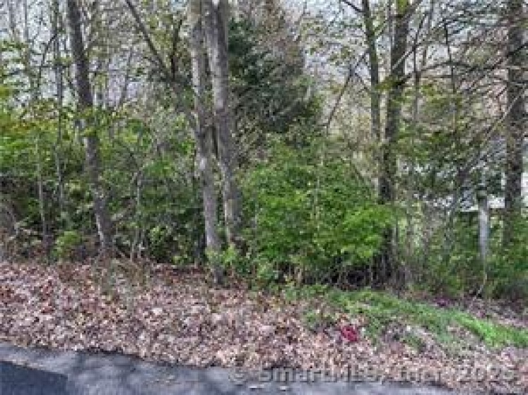 Saugus, Watertown, 06795, 0 , 0 ,0,Lots And Land For Sale,For Sale,Saugus,0,24157644