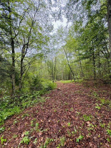 18 Ledge Hill, Sterling, 06377, 0 , 0 ,0,Lots And Land For Sale,For Sale,Ledge Hill,0,24161415