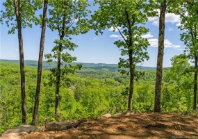 13 Dew, Barkhamsted, 06063, 0 , 0 ,0,Lots And Land For Sale,For Sale,Dew,0,24162866