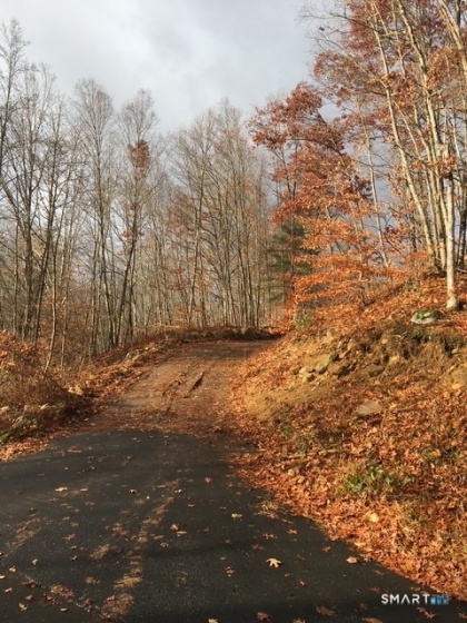 91-A Flatbrook, East Hampton, 06424, 0 , 0 ,0,Lots And Land For Sale,For Sale,Flatbrook,0,24159257