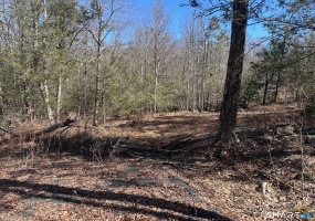 302 Gillette, New Hartford, 06057, 0 , 0 ,0,Lots And Land For Sale,For Sale,Gillette,0,24161035