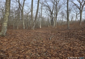 Brainard, Westbrook, 06498, 0 , 0 ,0,Lots And Land For Sale,For Sale,Brainard,0,24163334