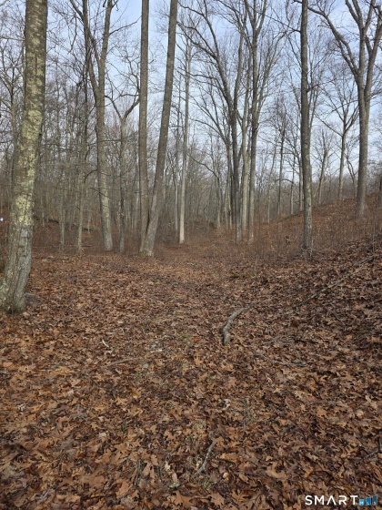 Brainard, Westbrook, 06498, 0 , 0 ,0,Lots And Land For Sale,For Sale,Brainard,0,24163334