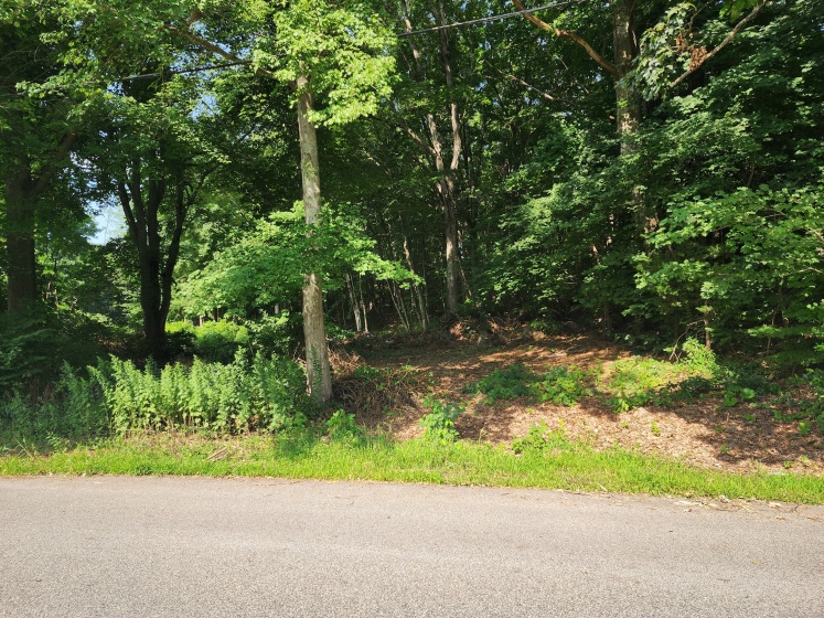 23 West, Norwich, 06360, 0 , 0 ,0,Lots And Land For Sale,For Sale,West,0,24163857
