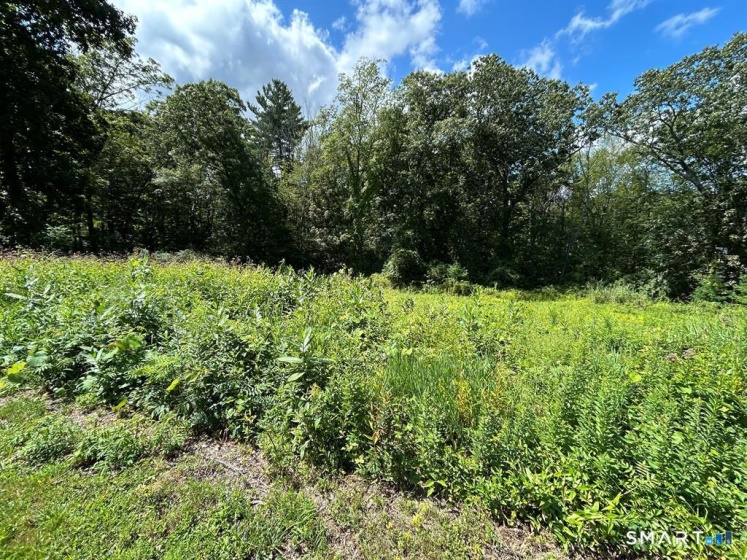 36 Olde Meadow, Woodstock, 06281, 0 , 0 ,0,Lots And Land For Sale,For Sale,Olde Meadow,0,24164632