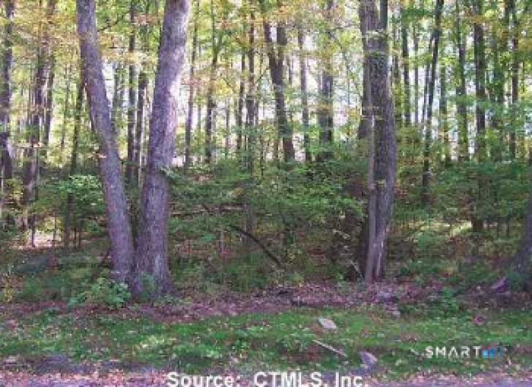 254 Stoddard, Morris, 06763, 0 , 0 ,0,Lots And Land For Sale,For Sale,Stoddard,0,24164694