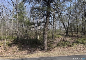 Windy Ridge, Warren, 06754, 0 , 0 ,0,Lots And Land For Sale,For Sale,Windy Ridge,0,24166848