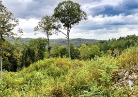 101 Lower Church Hill, Washington, 06794, 0 , 0 ,0,Lots And Land For Sale,For Sale,Lower Church Hill,0,24169139 101 Lower Church Hill, Washington, 06794, 0 , 0 ,0,Lots And Land For Sale,For Sale,Lower Church Hill,0,24169139