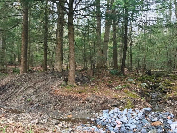 393 Winchester, Winchester, 06098, 0 , 0 ,0,Lots And Land For Sale,For Sale,Winchester,0,170078080