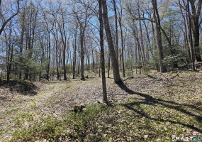 307 North, Roxbury, 06783, 0 , 0 ,0,Lots And Land For Sale,For Sale,North,0,24169970