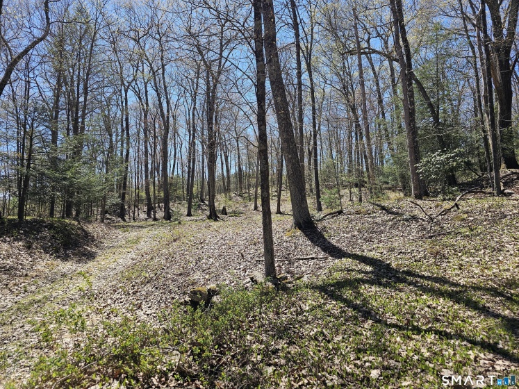 307 North, Roxbury, 06783, 0 , 0 ,0,Lots And Land For Sale,For Sale,North,0,24169970