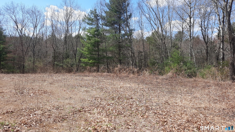 Lot 03-2 New Sweden, Woodstock, 06281, 0 , 0 ,0,Lots And Land For Sale,For Sale,New Sweden,0,24169977