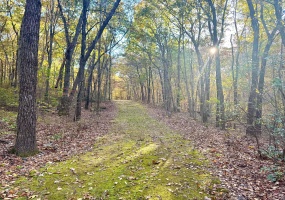 Mountain Laurel, Middletown, 06457, 0 , 0 ,0,Lots And Land For Sale,For Sale,Mountain Laurel,0,24170659
