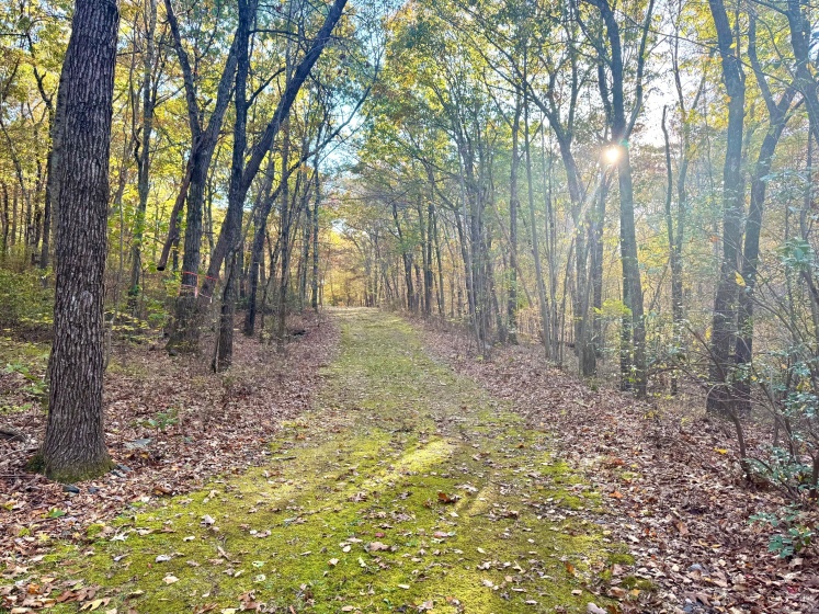 Mountain Laurel, Middletown, 06457, 0 , 0 ,0,Lots And Land For Sale,For Sale,Mountain Laurel,0,24170659