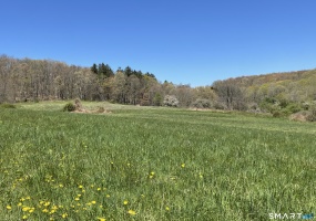 55 Ranney Hill, Roxbury, 06783, 0 , 0 ,0,Lots And Land For Sale,For Sale,Ranney Hill,0,24170752