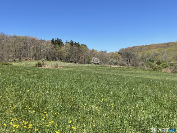 55 Ranney Hill, Roxbury, 06783, 0 , 0 ,0,Lots And Land For Sale,For Sale,Ranney Hill,0,24170752