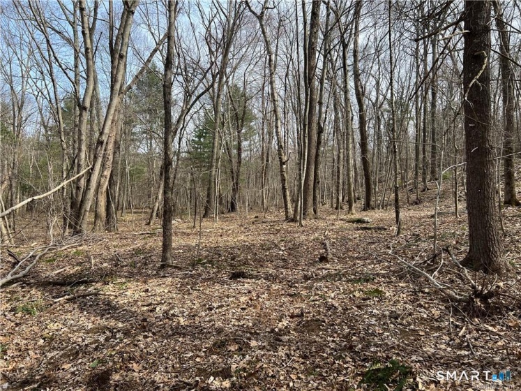 106 Church, Brooklyn, 06234, 0 , 0 ,0,Lots And Land For Sale,For Sale,Church,0,24171759